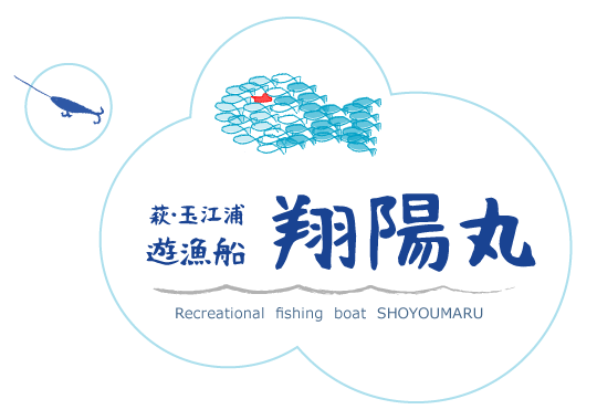 ジギング・キャスティング・ルアー専門の遊漁船【翔陽丸】